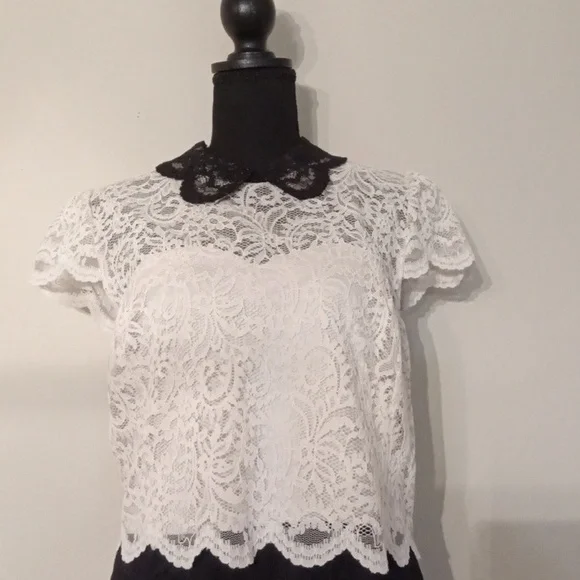 Betsy Johnson Ivory and Black Lace Dress with Collar Size 14 - Picture 2 of 12